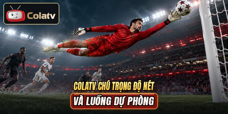 COLATV chú trọng độ nét và luồng dự phòng