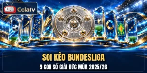 Soi Kèo Bundesliga - 9 Con Số Giải Đức Mùa 2025/26